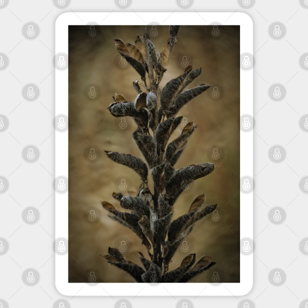 Horicon Marsh - Seed Pods Unfurled Sticker by machare